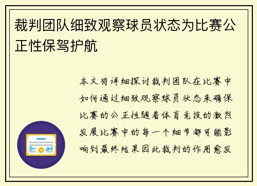 裁判团队细致观察球员状态为比赛公正性保驾护航